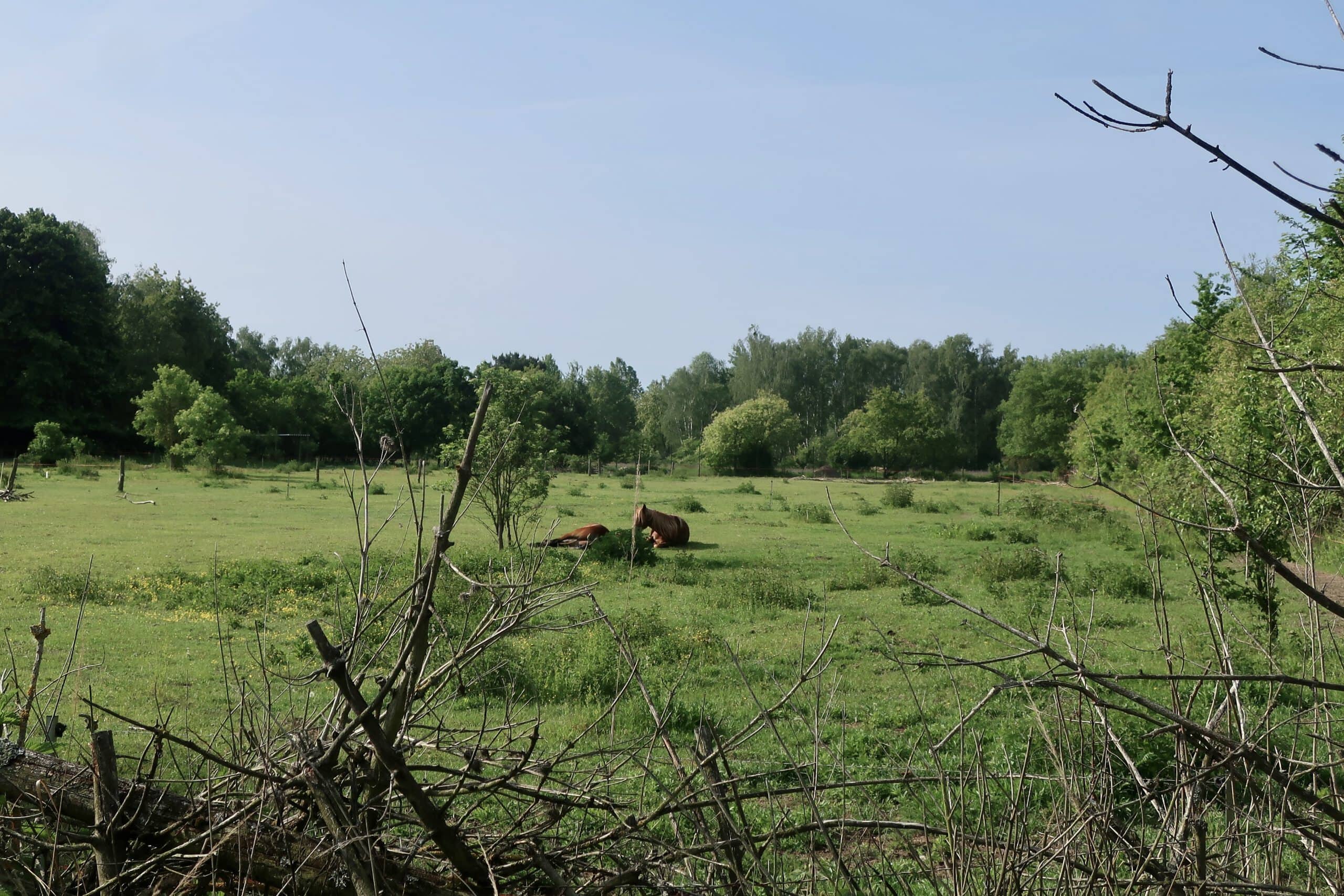 bb7b20e9 4cb1 49da b05a 0ef6e880c2d9 1 201 a scaled 1