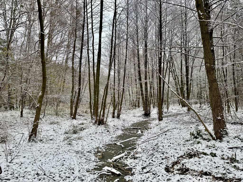 Winterlandschaft in der Krummen Lake in Berlin Grünau