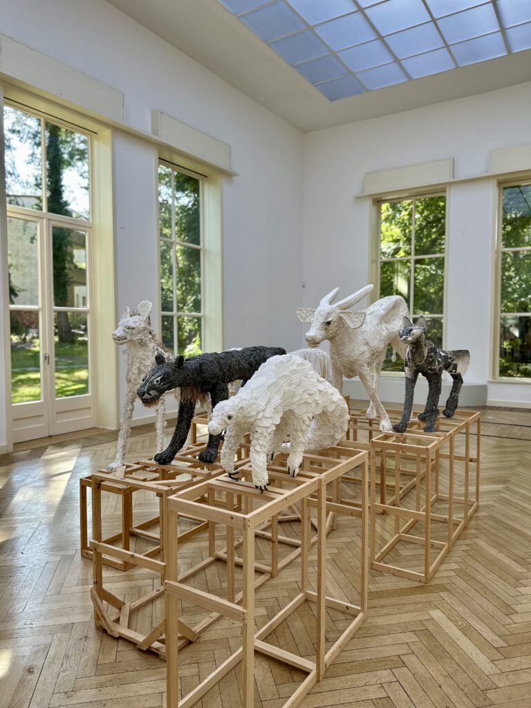 Tiere von Lin May Saeed im Kolbe museum