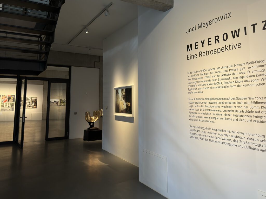 Joel Meyerowitz Ausstellung