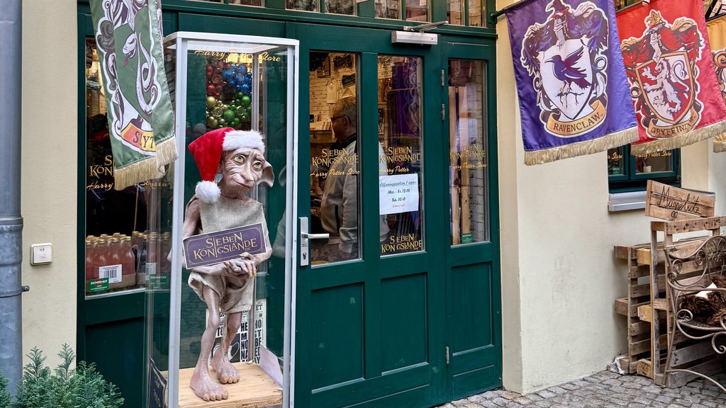 Exklusiv Zauberhafte Nachricht Für Fans Harry Potter Star Kommt Nach Kulmbach Die Details - sg1hla0