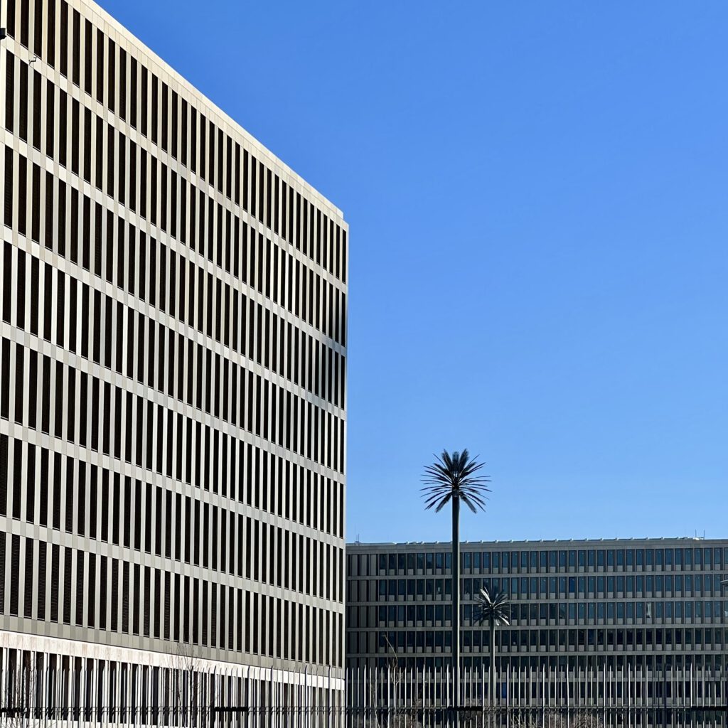 Bundesnachrichtendienst mit Palme