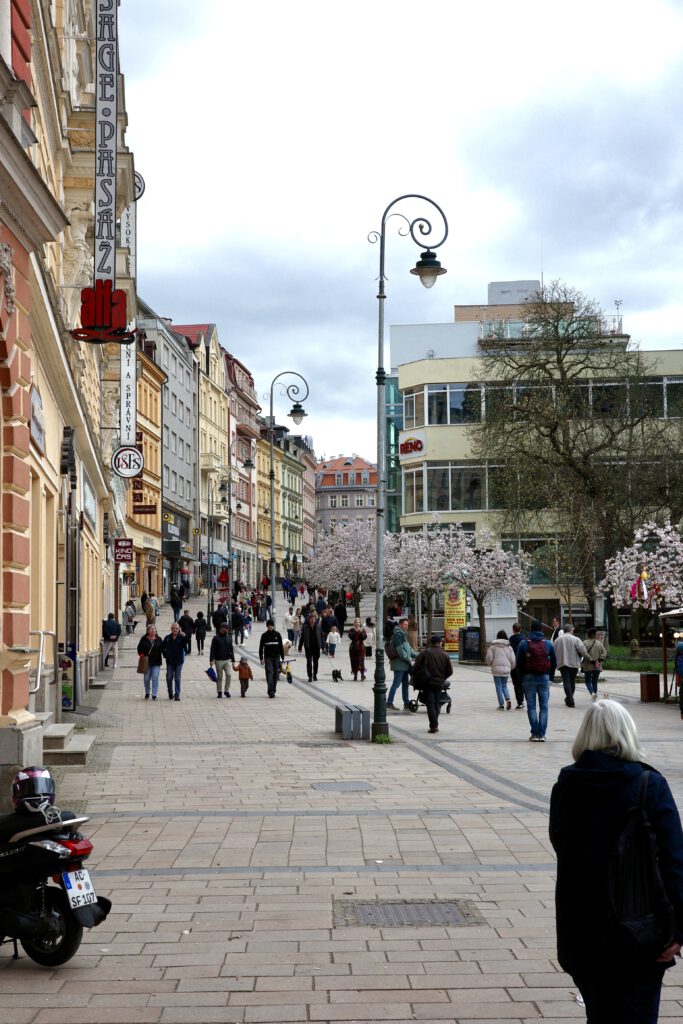 Karlsbad Strasse