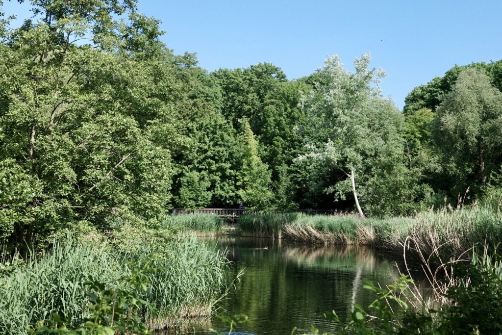 Hasenheide