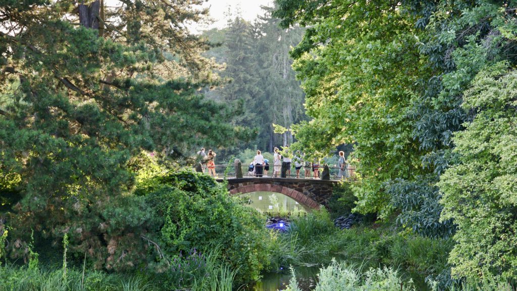 Brücke Botanischer Garten