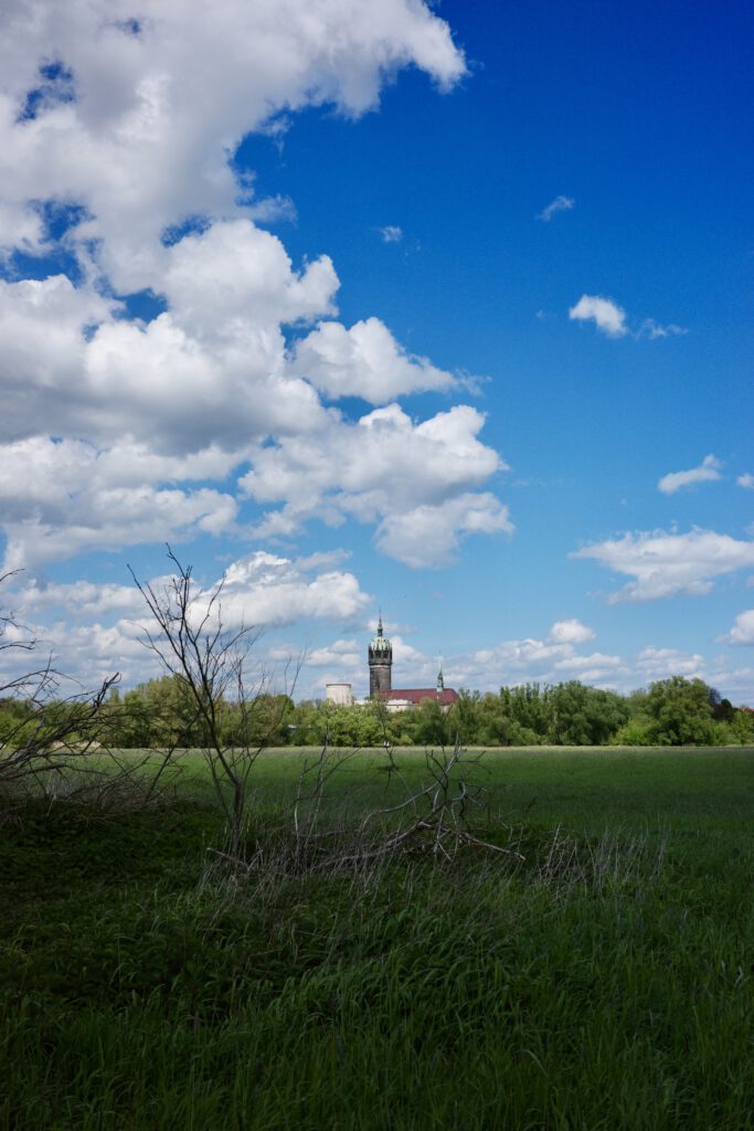 Blick auf Wittenberg