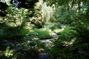 Blick ins Arboretum Treptow