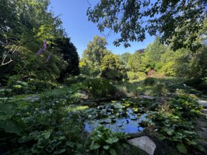 Teich im Arboretum Späth