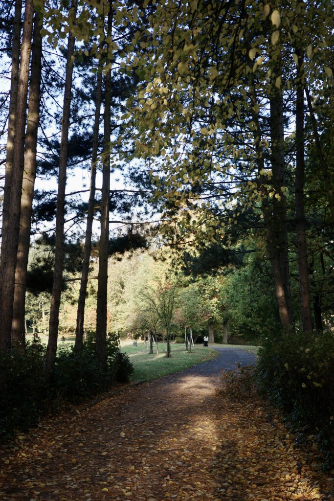 Gemeindepark Lankwitz Berlin Wald