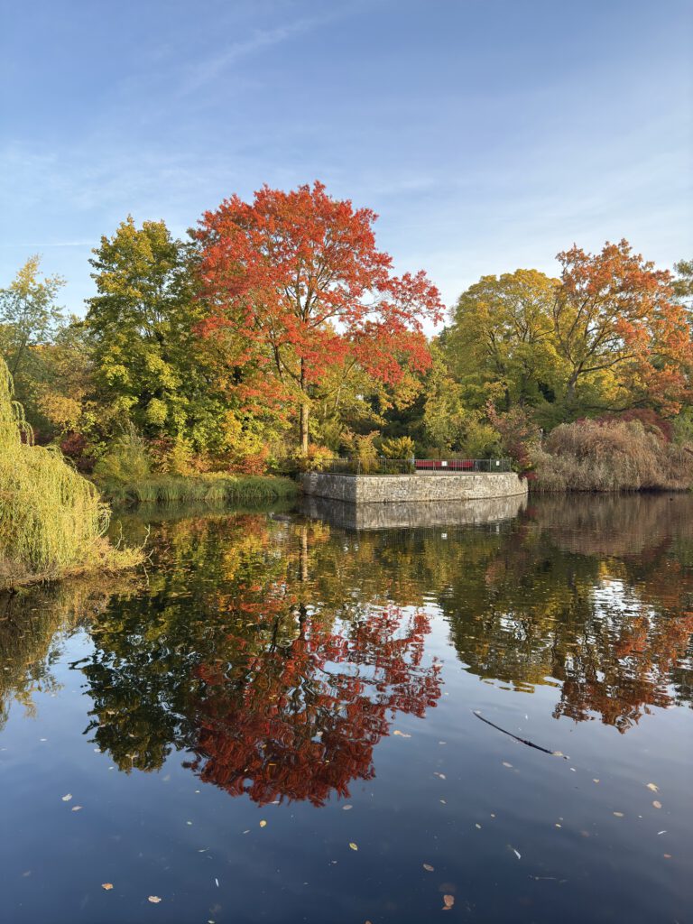 Teich im Gemeindepark Lankwitz Berlin