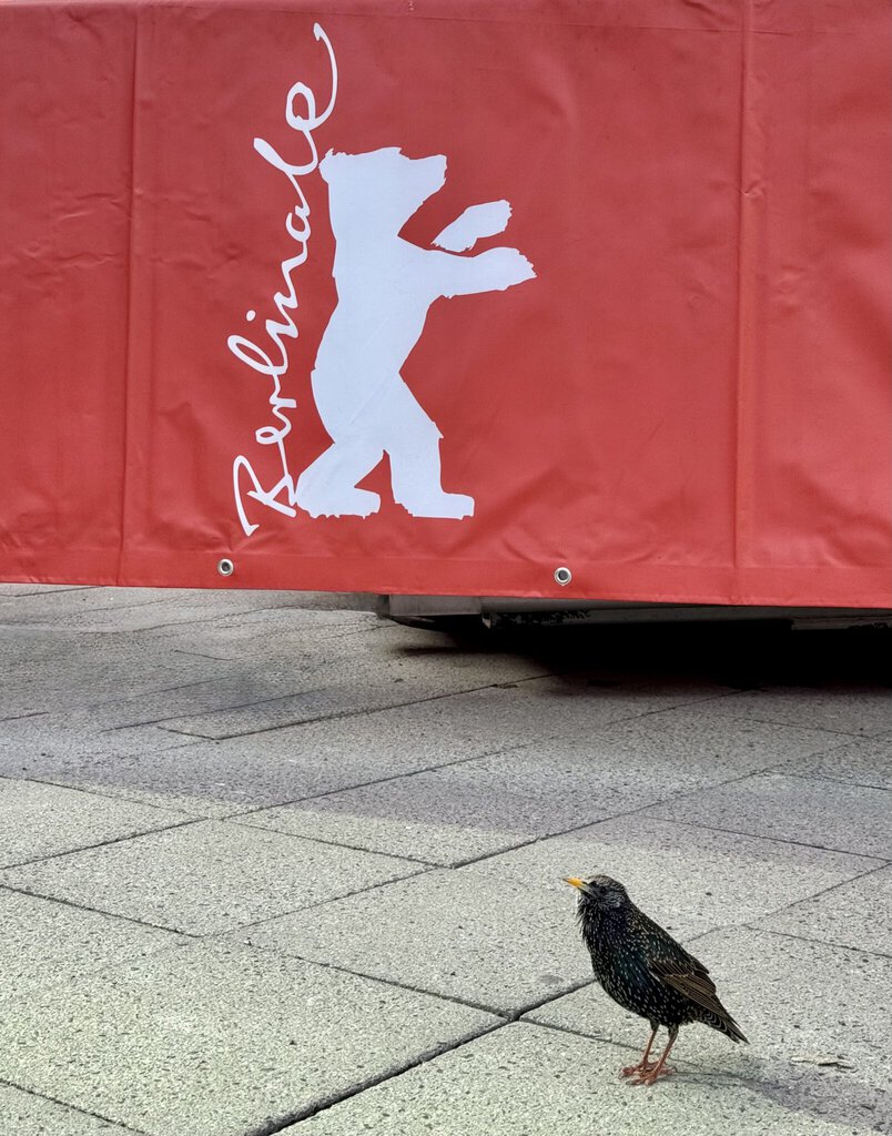 Berlinale Star