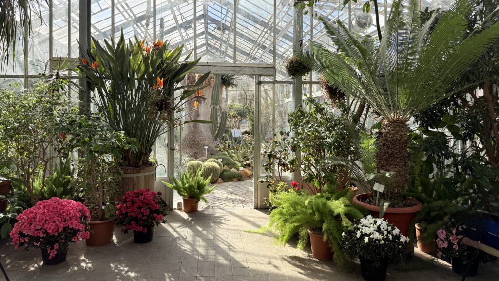 Botanischer Garten Potsdam