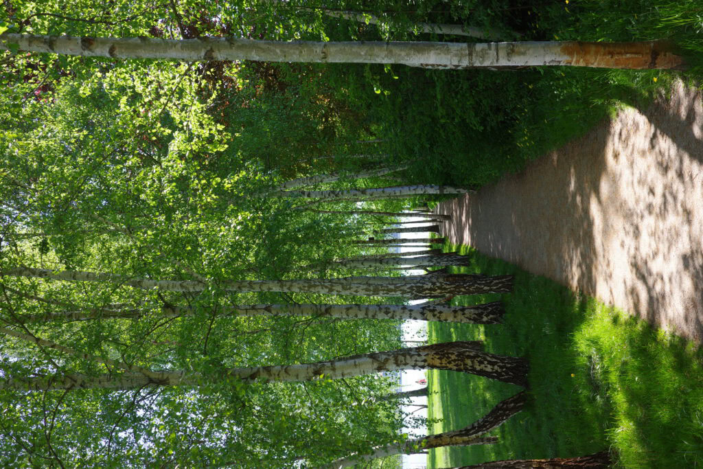 GX014975 6