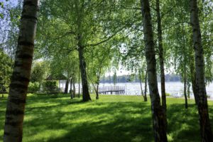 Die Liebermann Villa am Wannsee Garten Villa Liebermann