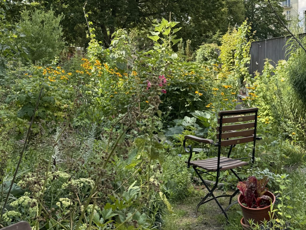 NiemandsLand Garten