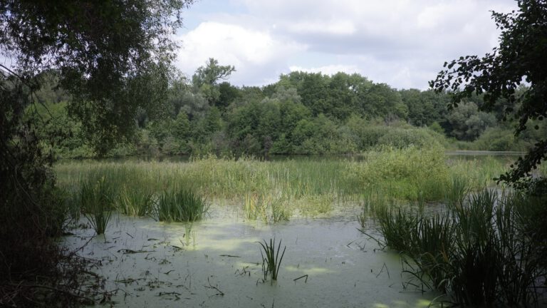 Fauler See