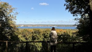 Durchs Teufelsseemoor zum Großen Müggelberg Blick von den Müggelbergen